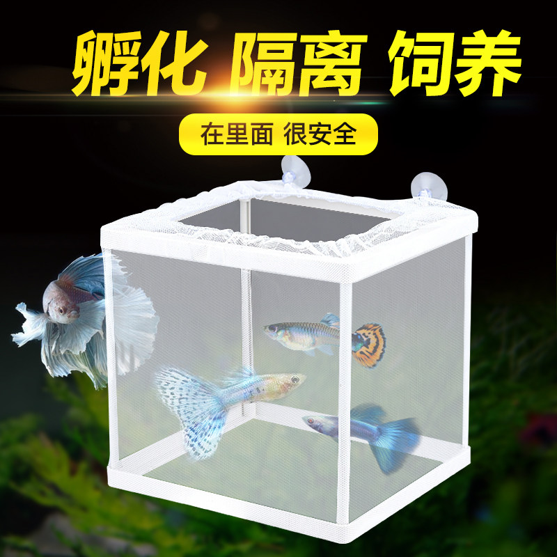 Fish Tank Hatching Isolation Mesh Dense Mesh Nestfish Incubators Small Fish Shelter From House Fish Tank Tropical Fish Breeding Isolated Boxes
