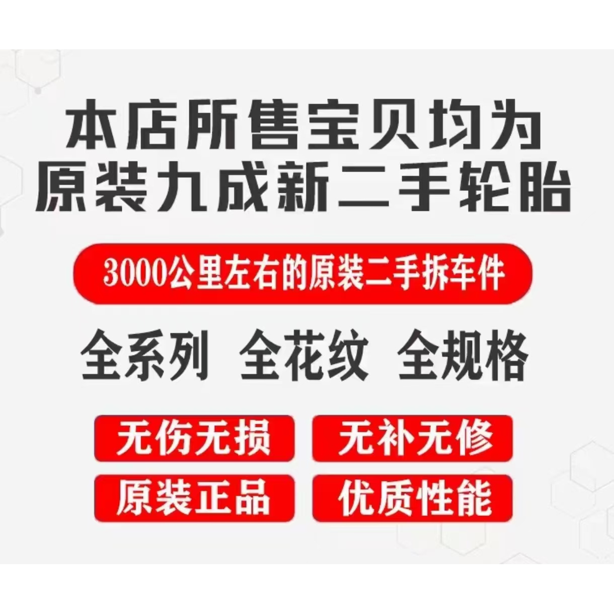 吉林游客的云南深度探索之旅