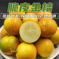 茂林水果农产品的LOGO