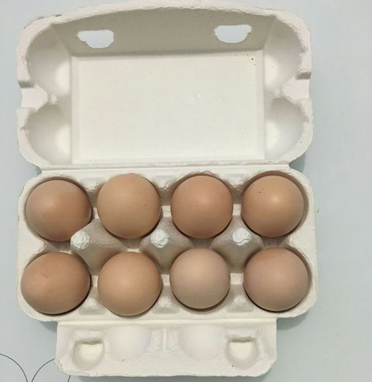 8 egg packaging box pulp pallet pallet shelf high end environmental protection