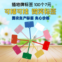 Plant seedling flower pot planting fleshy name flower name fruit tree gardening label waterproof plug small listing