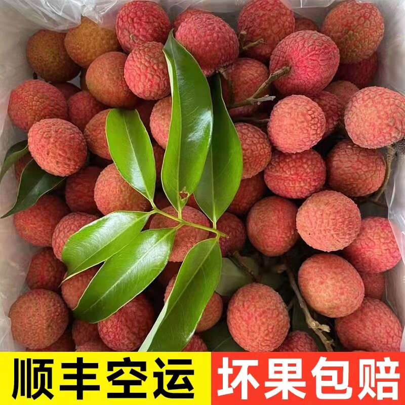 好心果儿