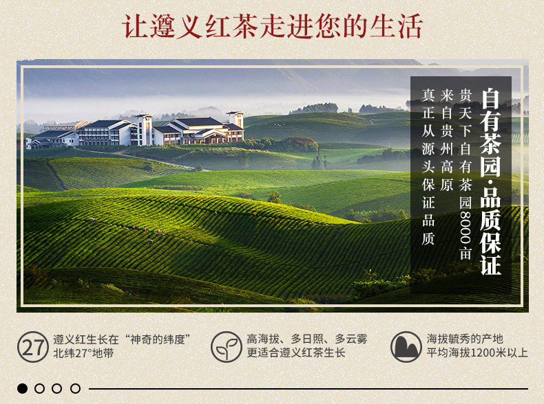 New-Zunyi Red Cut Template_06.jpg