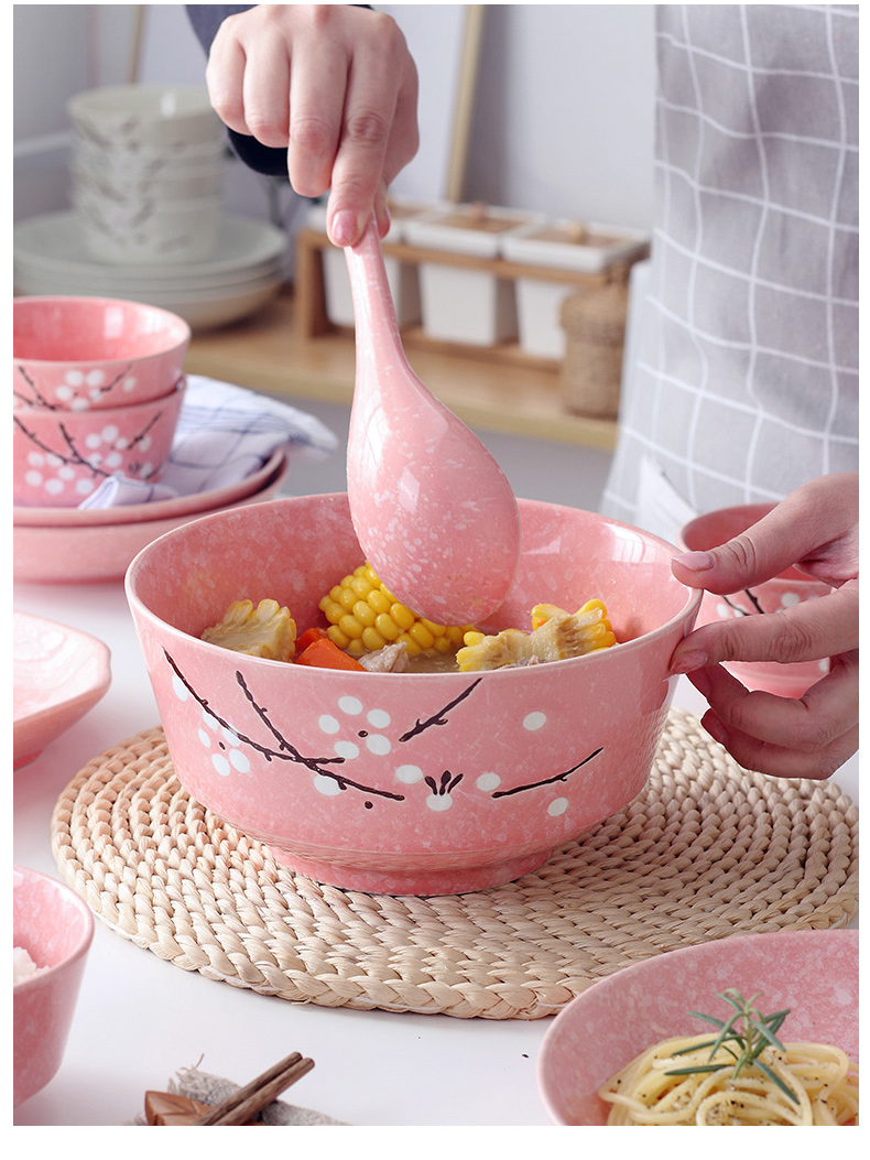 The dishes suit household ceramics 4/6 people soup bowl combined Japanese eat bowl chopsticks Nordic creative plate