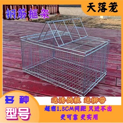 <!--新款只进不出镀锌超加密信鸽天落笼野外自动撞门连续鸽笼收鸽神器-->