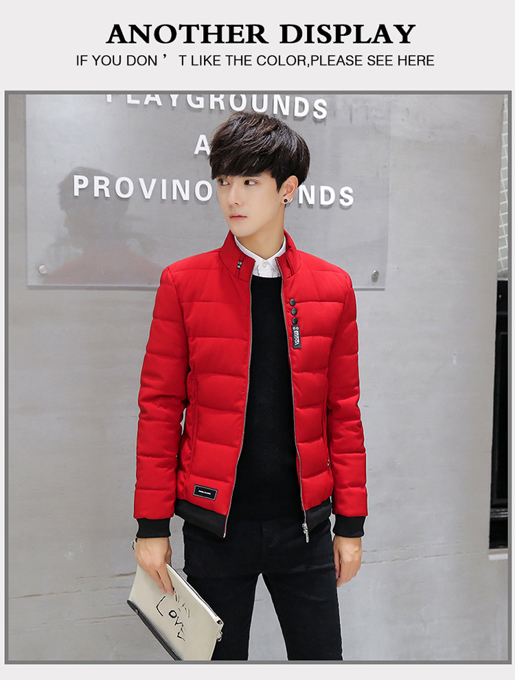 Blouson hiver pour homme   OTHER en Polyester - Ref 3112390 Image 12