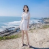 2019 phụ nữ mới mùa hè thon gọn một chiếc váy eo từ phiên bản Hàn Quốc của những quý cô khí chất đầm ren nhỏ tươi - Sản phẩm HOT đầm dài qua gối cho tuổi trung niên Sản phẩm HOT