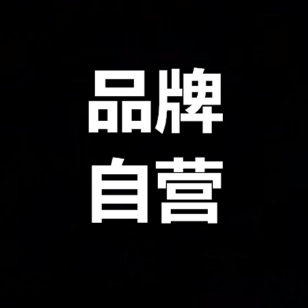 集成吊顶十大品牌电器自营店