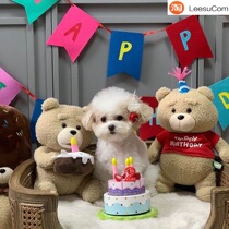 (Spot) JellyBubble Korea plush doll birthday gift cake cute teddy bear