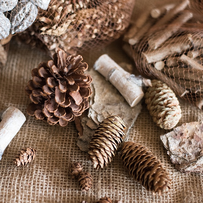 (Shuhan Garden) The gift of the forest fruit decoration DIY pine cone pine cone cinnamon ZAKKA props