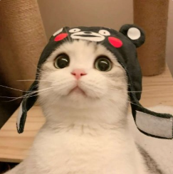 咕噜星人