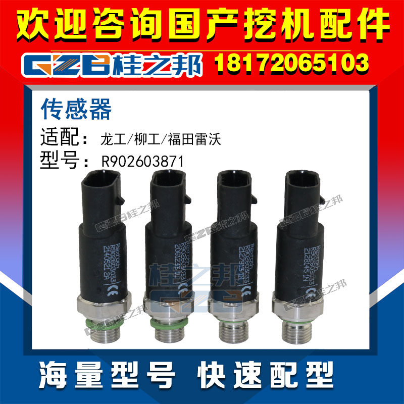 60980003919 Longwork Wicker, Futian Revo Excavator Rolex Sensors R902603033
