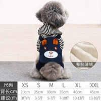 Сине -белый медведь