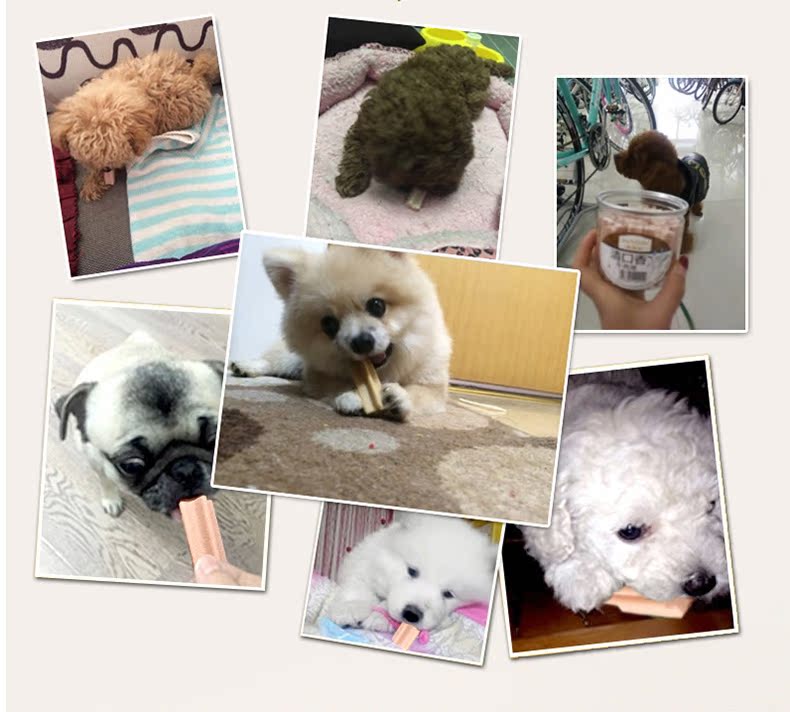 Mai Fudi rõ ràng miệng thú cưng răng hàm que ăn nhẹ chó sạch răng xương chó nhai Teddy cún con chó con bánh thưởng cho chó