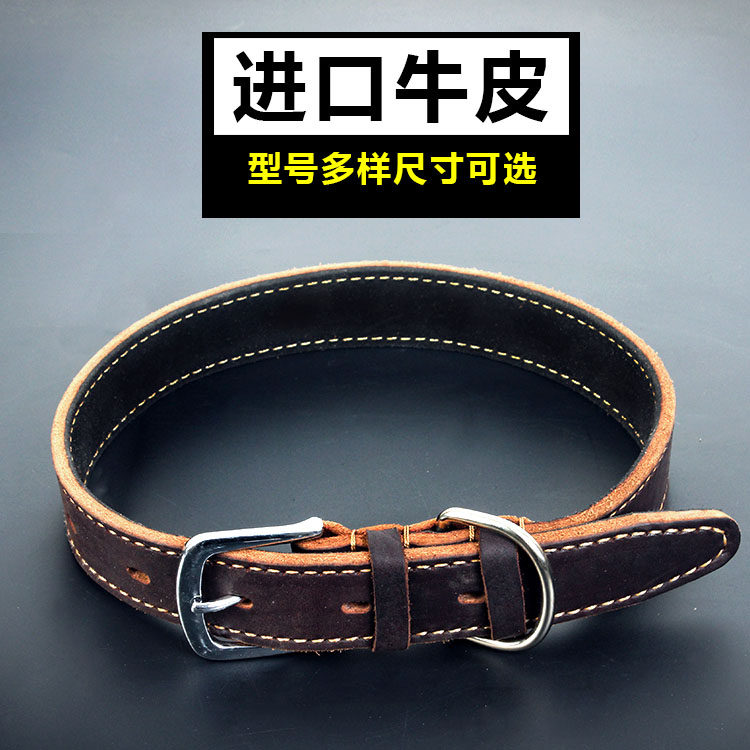 Dog Neck Circle Large Circle Large Brador Bull Peel Peel Circle Circle