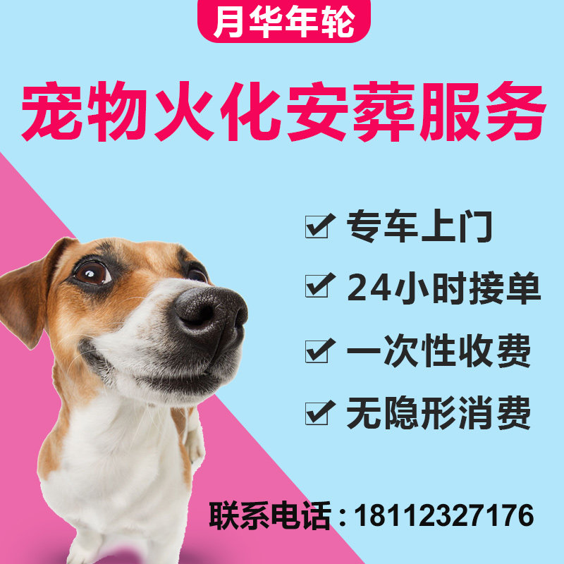 南京寵物火化殯葬動物火化善終安樂上門服務狗狗貓咪