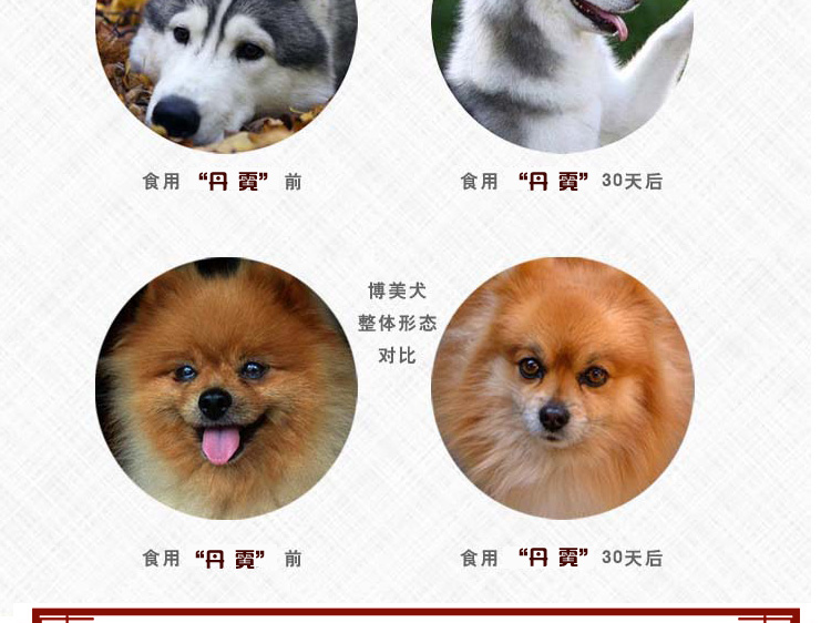 Số lượng lớn con chó tổng thể thực phẩm làm đẹp tóc canxi tất cả các loại chó loại chung chó lớn nhỏ nhỏ Teddy dog ​​schnauzer thức ăn cho chó royal canin cho mèo