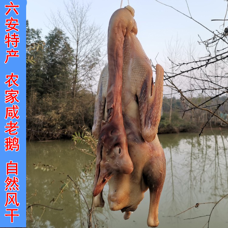 The sale of the new goods on December has been sold