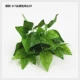Cây mô phỏng tường cây xanh tường phòng khách ban công trang trí tường hoa cắm hoa xanh lá hoa giả xanh - Hoa nhân tạo / Cây / Trái cây đào đông đỏ giả