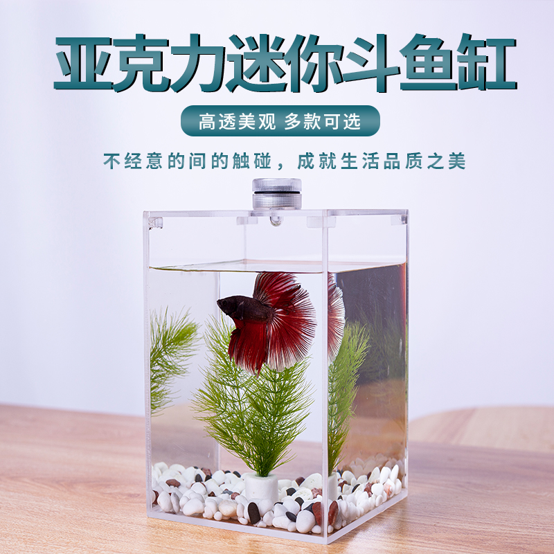 Thai fighting fish tank eco-friendly small acrylic creative office living room micro-view tank mini desktop multi-grid tank
