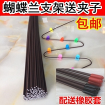 Butterfly Orchid Steps Orchid Plant Fixed Rod Support Rod Stretch Iron Wire Steps Closed Vine Fixed Clamp