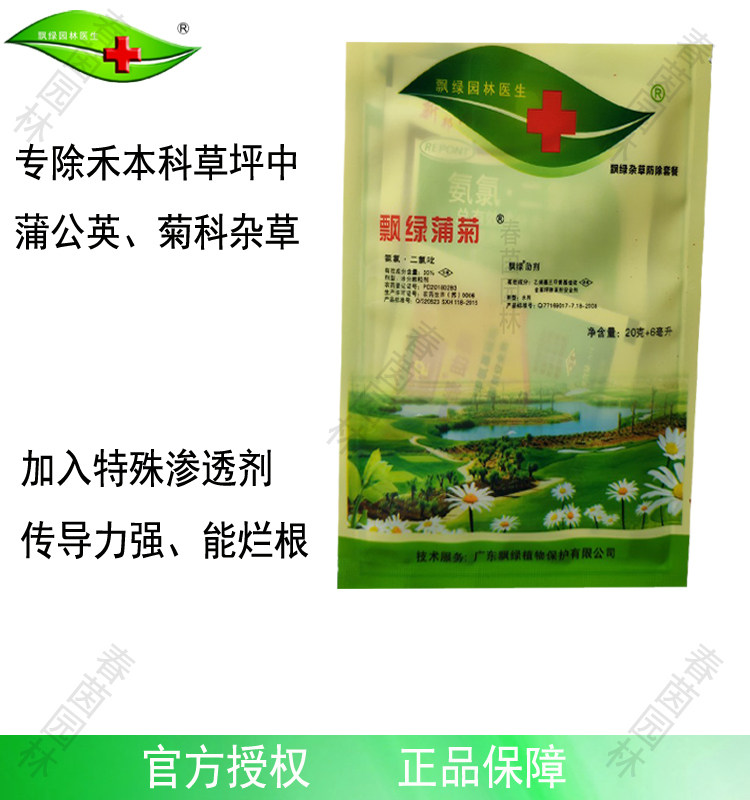 Floating green dandelion Manila bermudagrass grass lawn in addition to dandelion perennial Asteraceae leguminous broad-leaf weeds