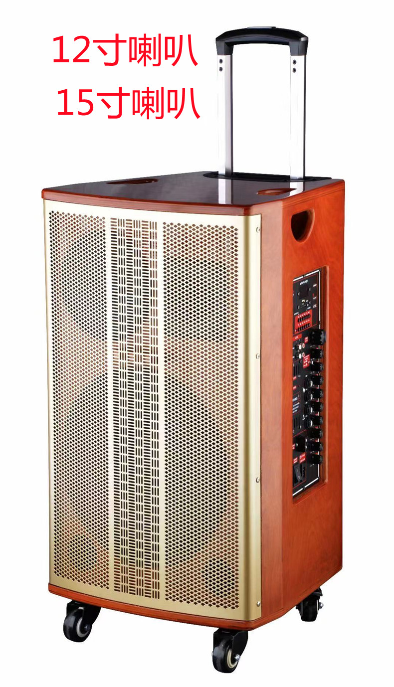 Bonsheng Acoustics Smart Square Dance Overweight Bass Stereo Professional High-end Outdoor Card Built-in External private