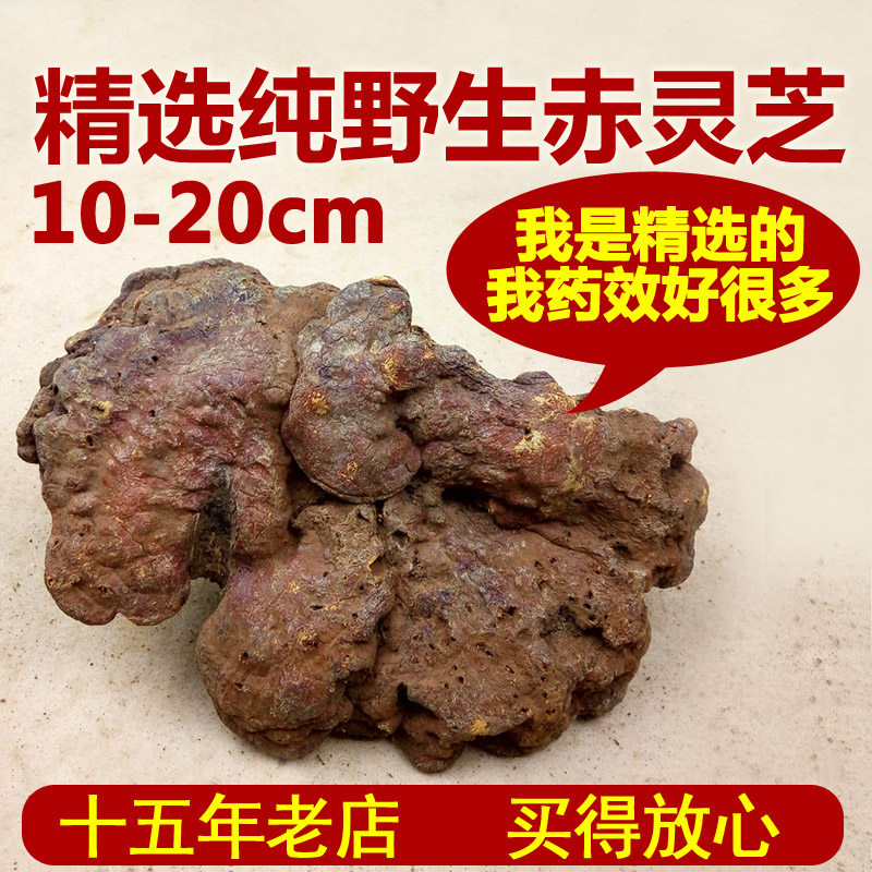 Zhiren Yuye Deep Mountain Yunnan Pure Wild Red Ganoderma Lucidum Natural Wild Ganoderma Lucidum Pruned Red Ganoderma Lucidum 500g