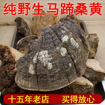 Zhiren Yuye Authentic Yunnan Wild Horseshoe Mulberry Yellow Ganoderma Lucidum Wild Ganoderma Lucidum 250g