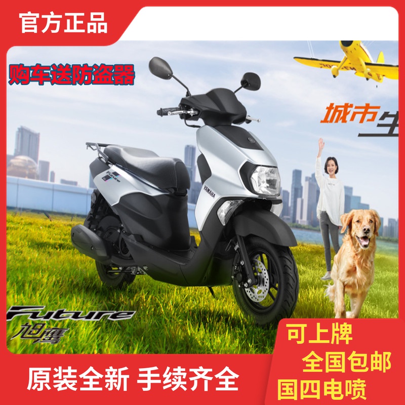 Yamaha motorcycle pedal China Four Electric Spray Eagle 125T - 3A fuel takeover oil invoice original