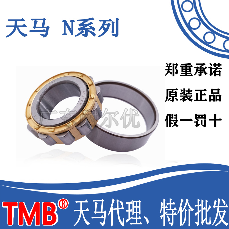 Sky Horse TMB cylindrical roller bearings N313 314315316317318319320321 E EM