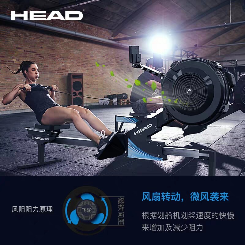 European HEAD Heide professional rowing dynamometer intelligent dynamic wind resistance rowing machine commercial fitness equipment
