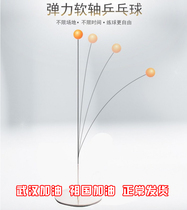 Elastic flexible shaft table tennis ball practice single self-training artifact home ball training stainless steel fitness toy
