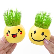 Creative Grass Head Doll Table Mini Plant Small Potted Cartoon Small Grass Creativity Cute Kindergarten Children Planting