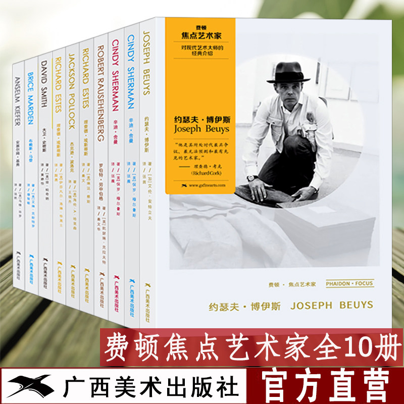 ファイドン・フォーカス・アーティストシリーズは全9巻で、アンゼルム・キーファー、ジャクソン・ポロック、ロバート・ラウシェンバーグ、シンディ・シャーマンなどの作品を収録しており、近代巨匠たちの絵画と芸術的発展への入門ガイドとなっている。