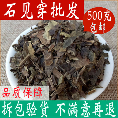 Stone See wearing Chinese herbal medicine New cargo stone beat wearing stone to see Sichuan purple ginseng in red fresh and dried 500g