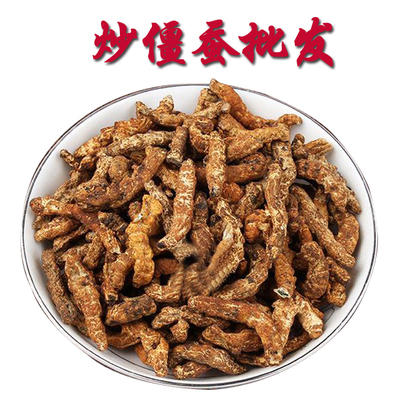 Chinese herbal medicine Silkworm Mati Silkworm White sericulture Stir-fry the Silkworm Moxibustion SILKWORM 500 gr