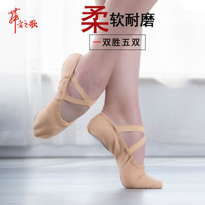 Adult dance shoes, children's girls' soft-soled training and practice shoes, men's classical figure cat-paw dance shoes, girls' ballet shoes