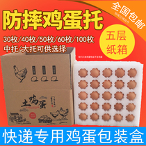 Pearl cotton eggs Toto 30 pieces 50 Loaded Express Special Earthy Egg Packaging Boxes Case Shockproof Anti-Crummy Foam Box