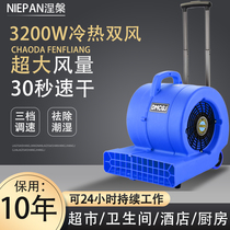 Nirvana Blow Ground Machine Commercial Dry Carpet Dehumidified Cold And Hot Hair Dryer Toilet Ground Floor High Power Blow-drying Machine