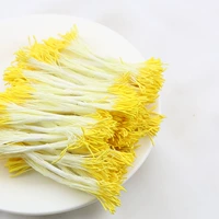 Цветочный ядро ​​разрыво