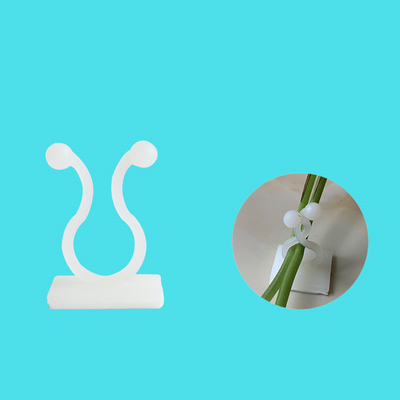 绿植固定器家用壁挂卡扣绿萝爬墙神器