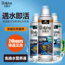 Poligrip Nitrifying bacteria Fish tank water purifier Water change-free artifact Aquarium water quality stabilizer Nitrifying bacteria
