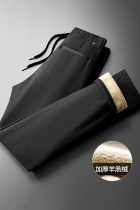 Fugui Bird Methodist Mens 2022 New Spring and Autumn Garsuede Ins Straight Drum Business Casual Long Pants High-end Mens Pants