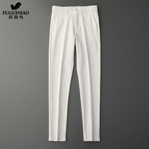 Fugui bird lukewarm man pants senior sense design sensation casual pants mens striped summer pants male yuppie handsome spring summer style