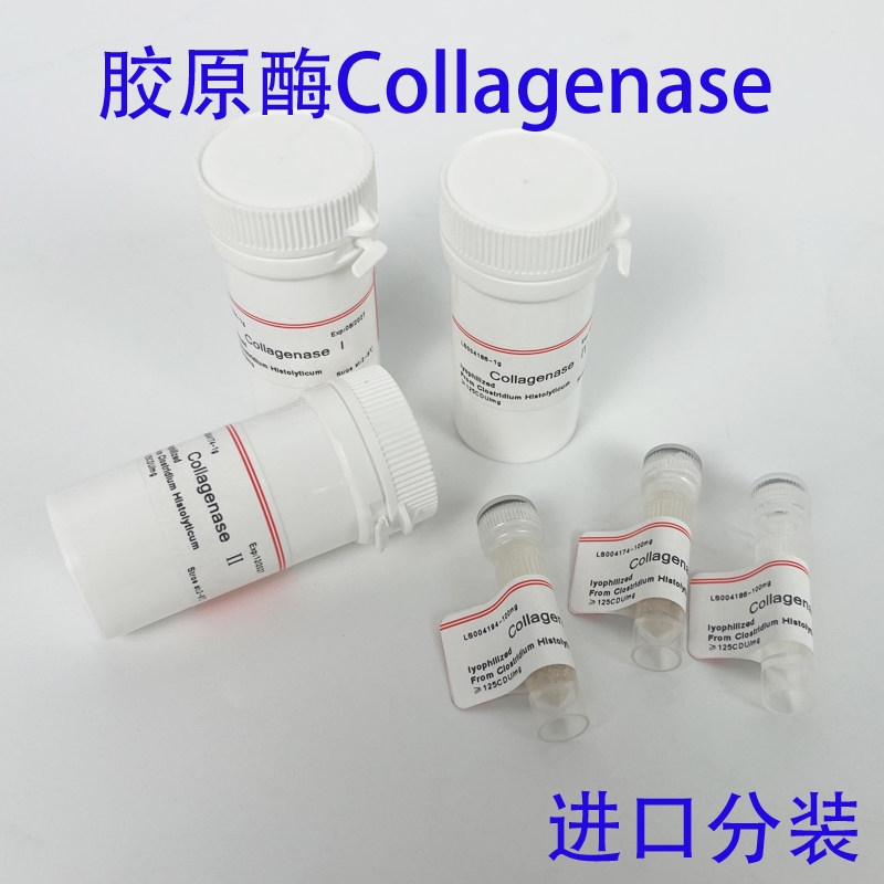 促销胶原酶I进口CollaenaseII蛋白酶IV蛋白质Invitrogen科研试剂