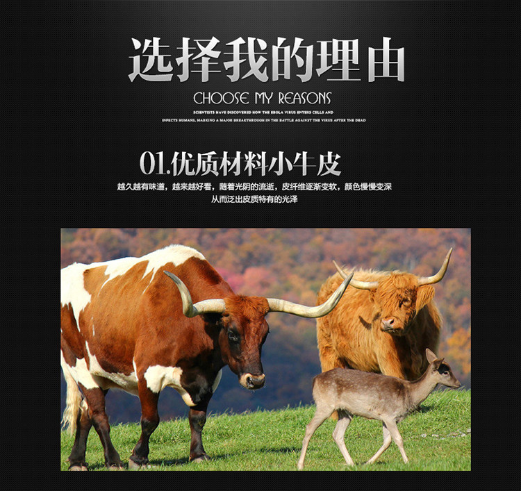 Sac pour homme - Ref 50137 Image 13