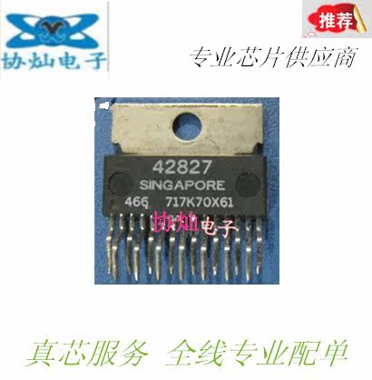 42827 car chip Delphi MT20 car engine computer idle speed control module driver chip