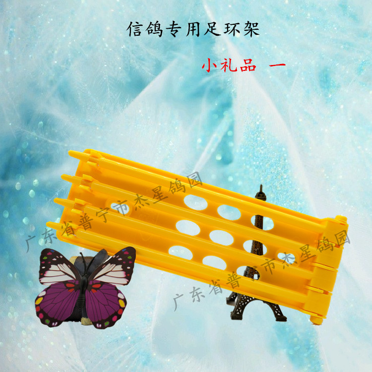 Tây An Ledao yêu chim bồ câu y học (bướng bỉnh một lần) đua chim bồ câu cung cấp thư chim bồ câu y học chim bồ câu y học - Chim & Chăm sóc chim Supplies máng ăn cho gà con