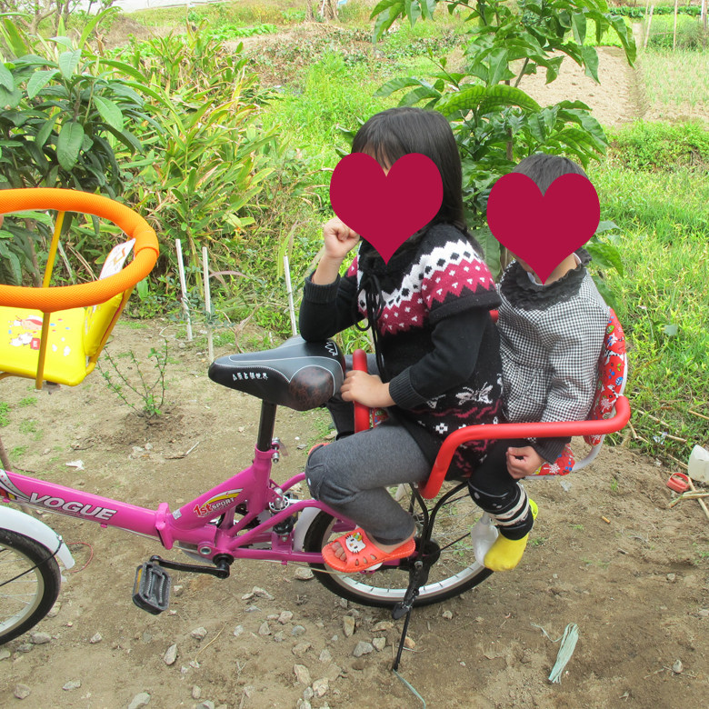 siège enfants pour vélo - Ref 2439070 Image 16